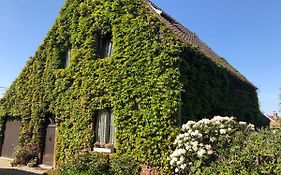 B&B Carisma